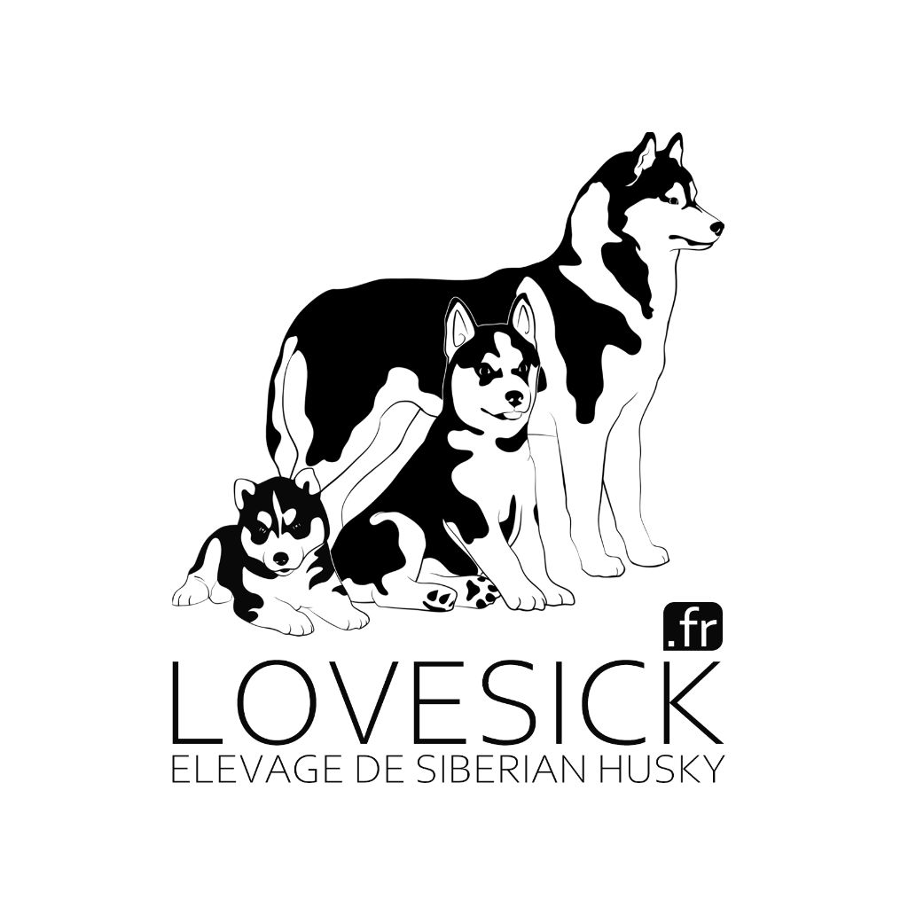 Lovesick - Site Web Officiel - Lovesick