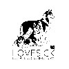  - Site Web Officiel - Lovesick